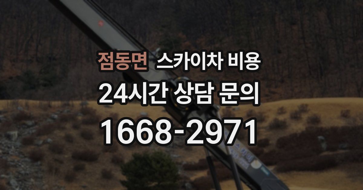 점동면 스카이차 비용