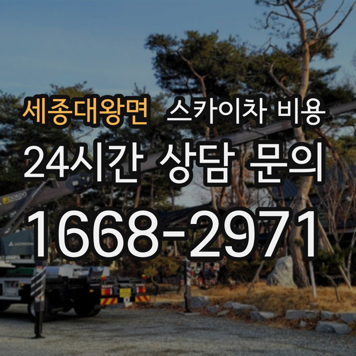 세종대왕면 스카이차 비용