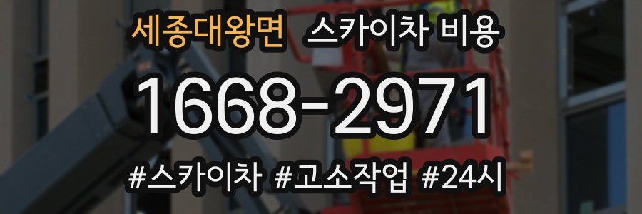 세종대왕면 스카이차 비용