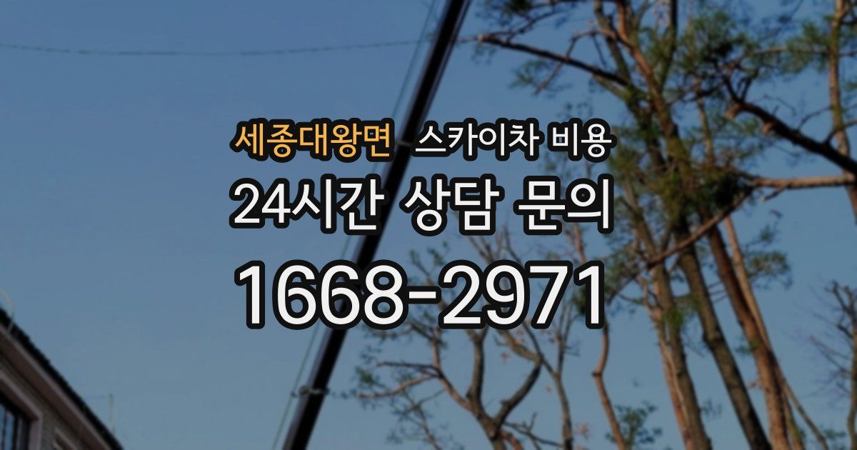 세종대왕면 스카이차 비용