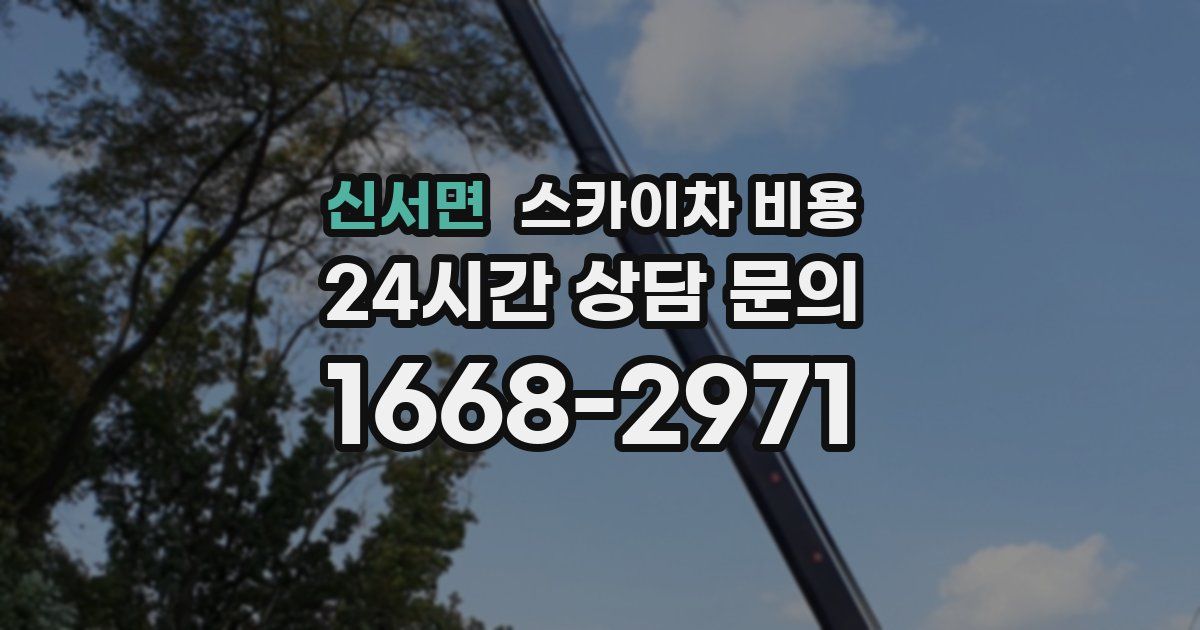 신서면 스카이차 비용