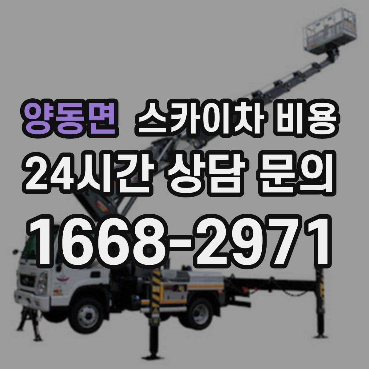 양동면 스카이차 비용 크리스마스 조명 설치 견적 문의 요령