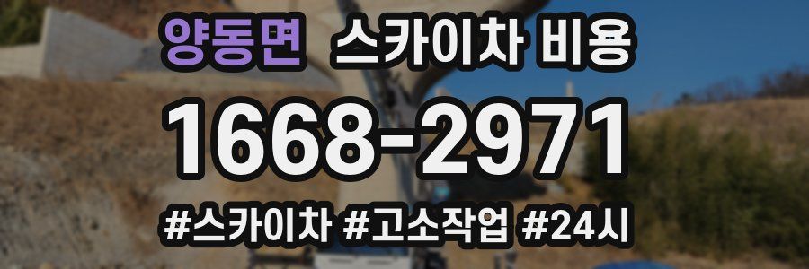 양동면 스카이차 비용