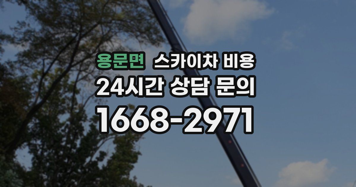 용문면 스카이차 비용