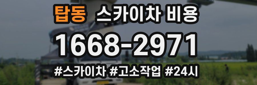 탑동 스카이차 비용