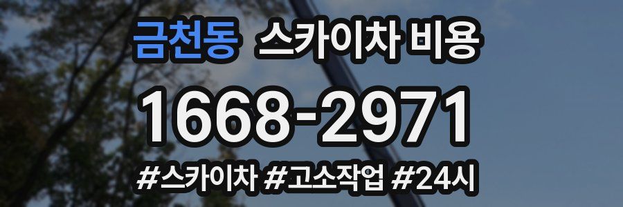 금천동 스카이차 비용