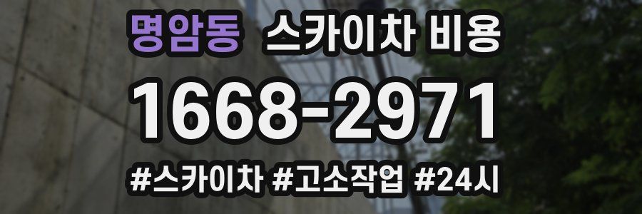 명암동 스카이차 비용