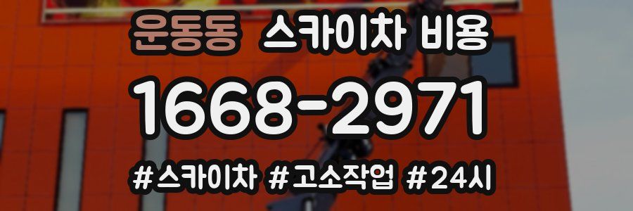 운동동 스카이차 비용