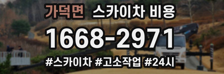 가덕면 스카이차 비용