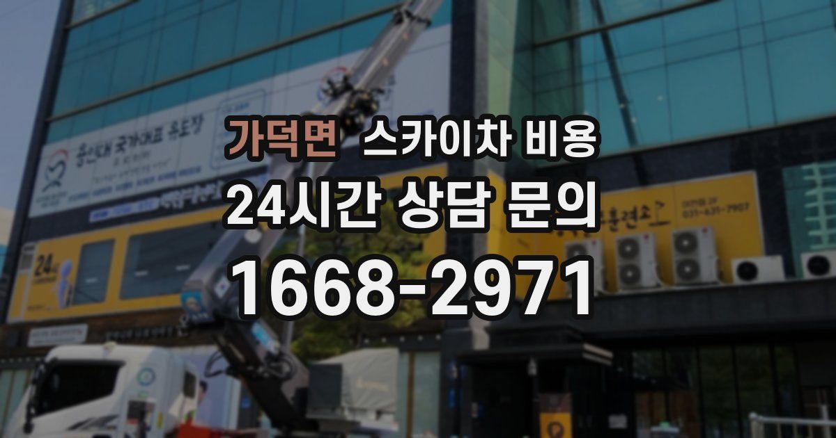 가덕면 스카이차 비용