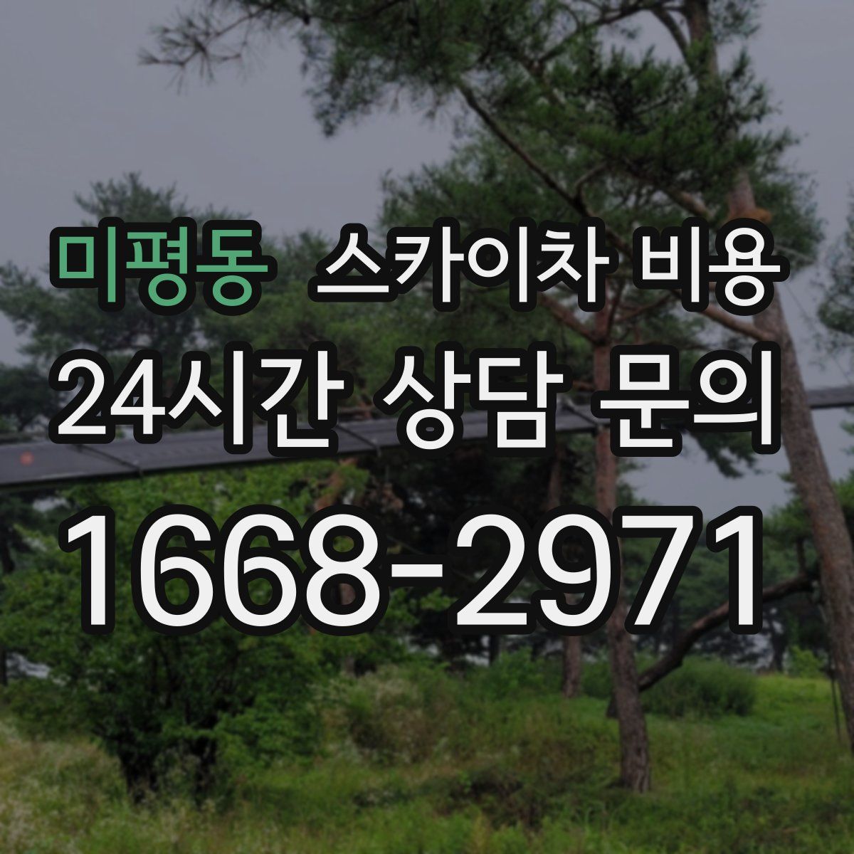 미평동 스카이차 비용