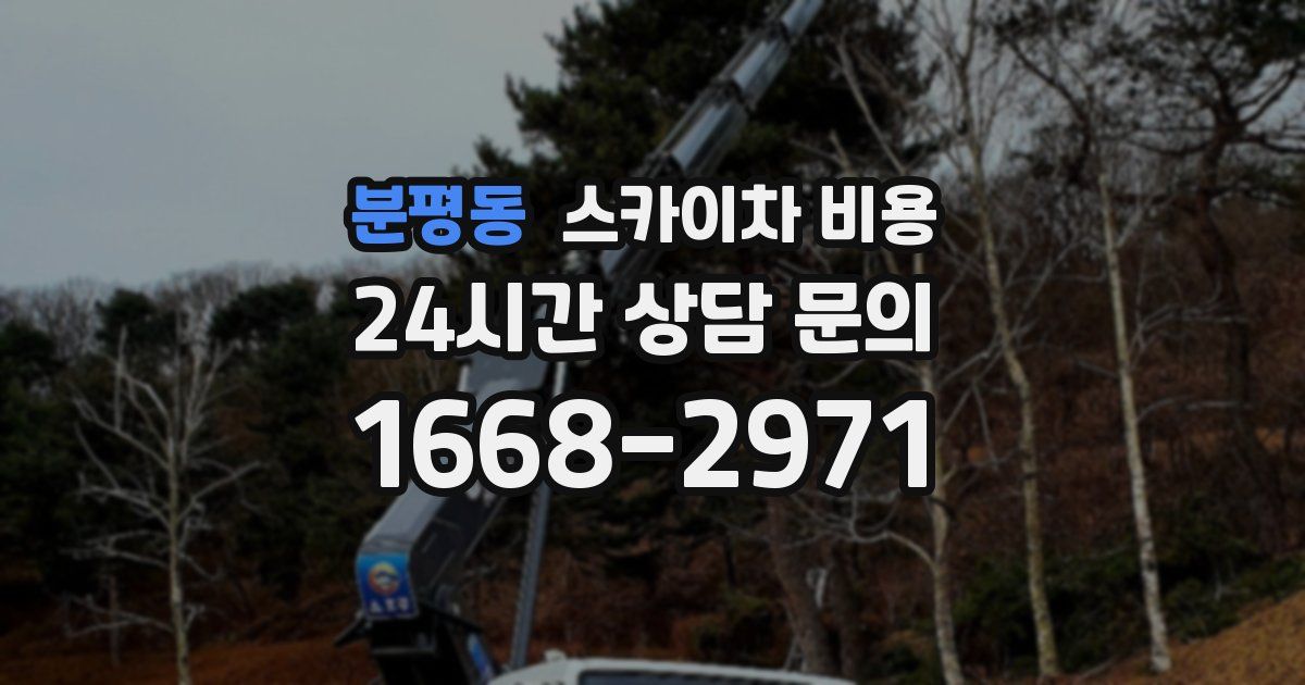 분평동 스카이차 비용