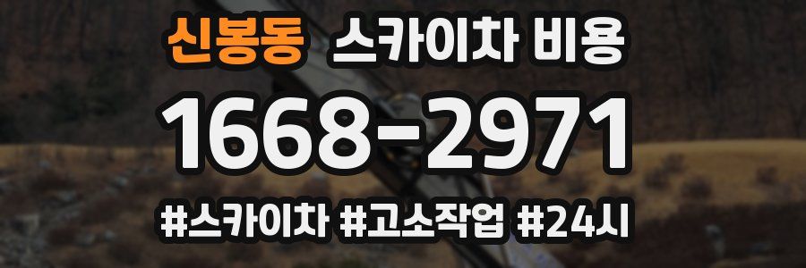 신봉동 스카이차 비용