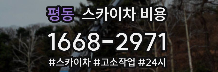 평동 스카이차 비용