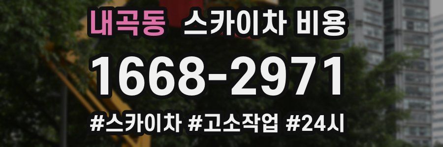 내곡동 스카이차 비용