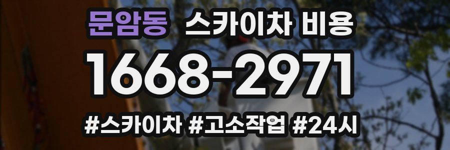 문암동 스카이차 비용