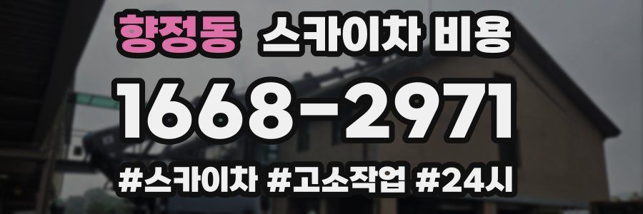 향정동 스카이차 비용