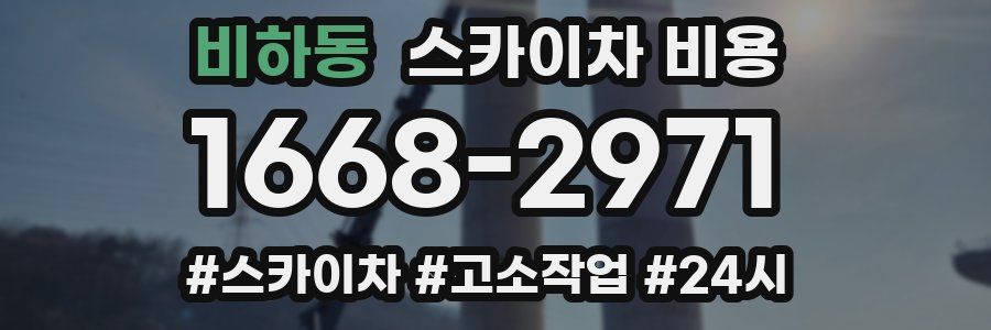 비하동 스카이차 비용