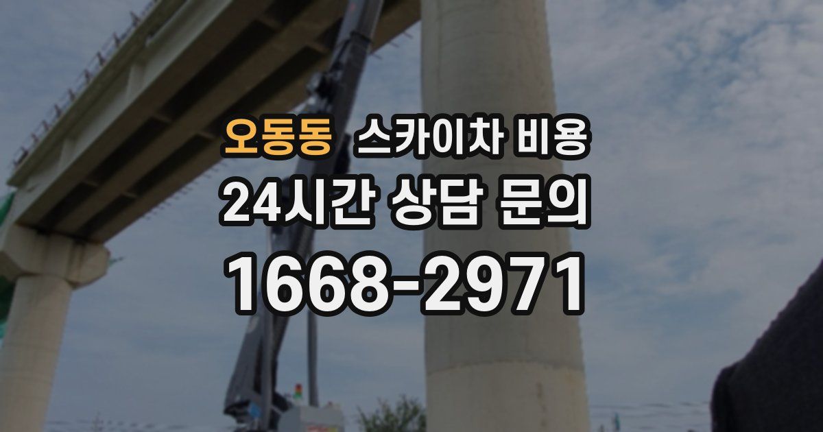 오동동 스카이차 비용