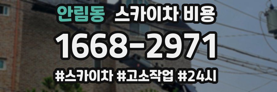 안림동 스카이차 비용