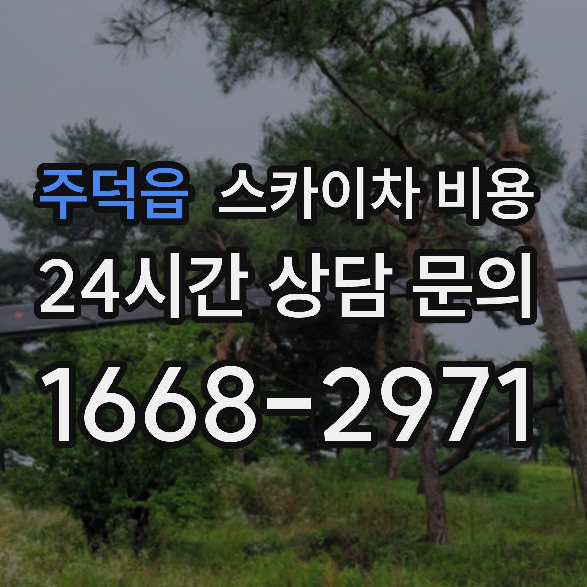 주덕읍 스카이차 비용