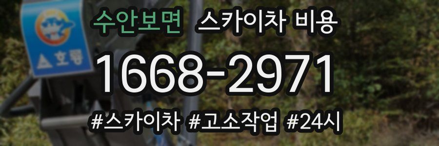 수안보면 스카이차 비용