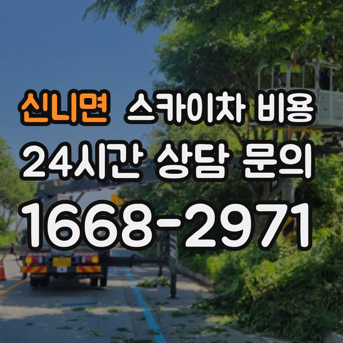 신니면 스카이차 비용 간판 조명 점검만 해도 스카이차가 필요할까