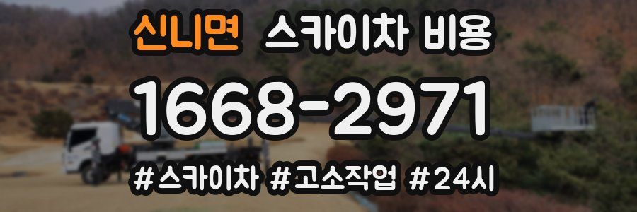 신니면 스카이차 비용