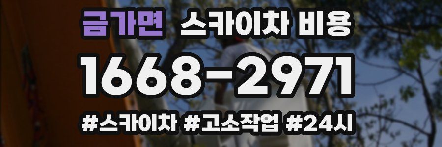 금가면 스카이차 비용