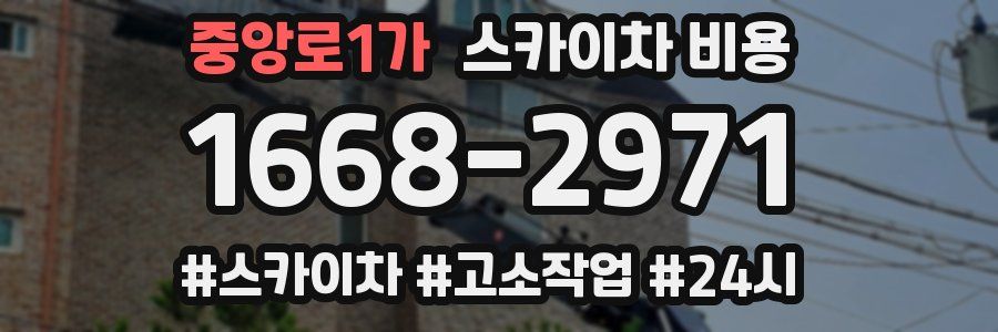 중앙로1가 스카이차 비용