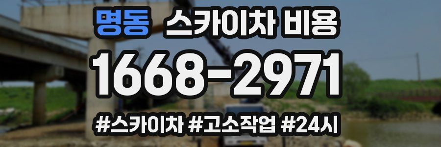 명동 스카이차 비용