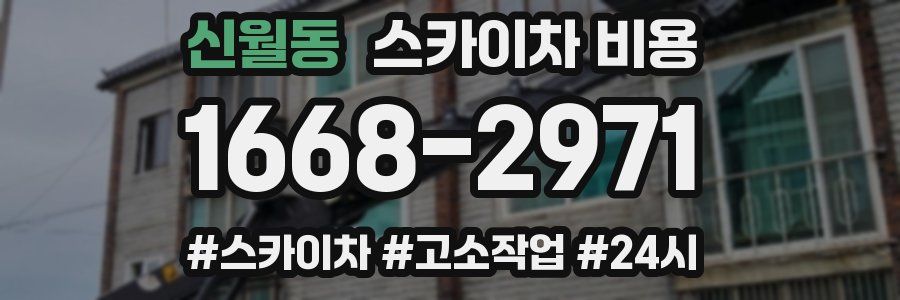 신월동 스카이차 비용
