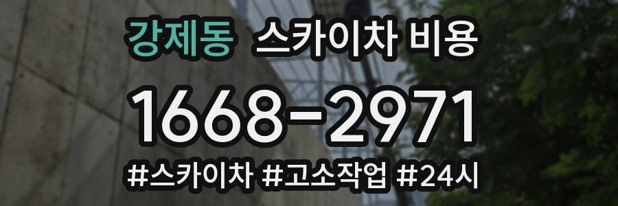 강제동 스카이차 비용