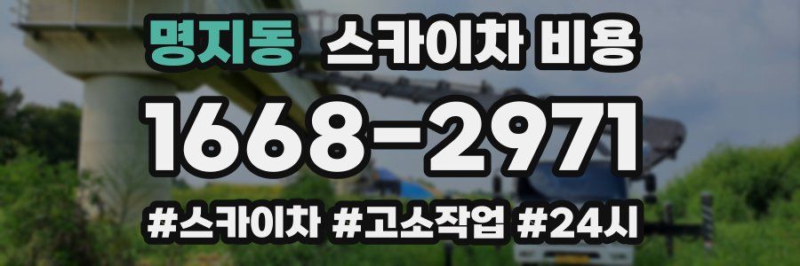 명지동 스카이차 비용