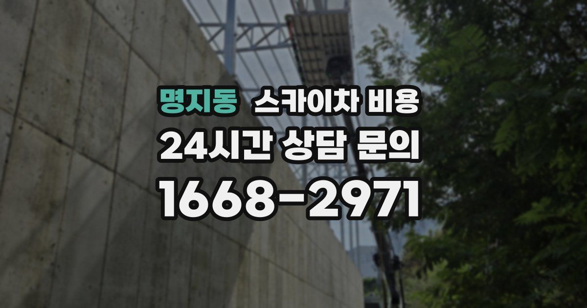 명지동 스카이차 비용