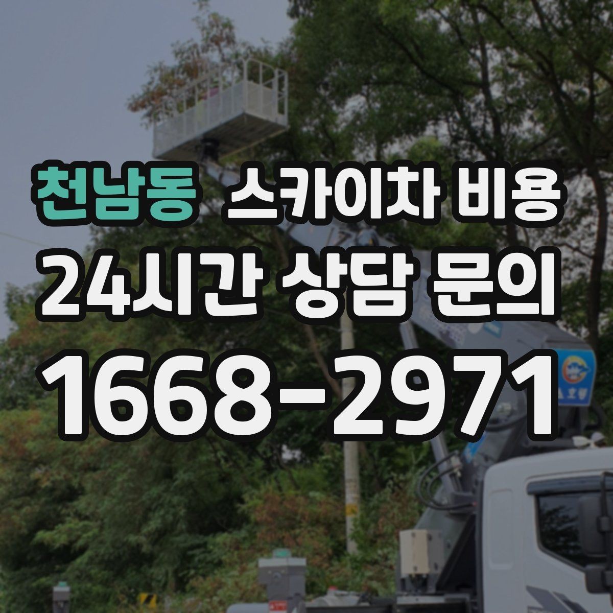 천남동 스카이차 비용 예약 호출이 유리한 현장 조건