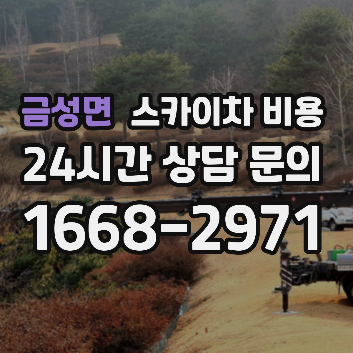 금성면 스카이차 비용