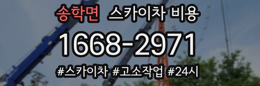 송학면 스카이차 비용