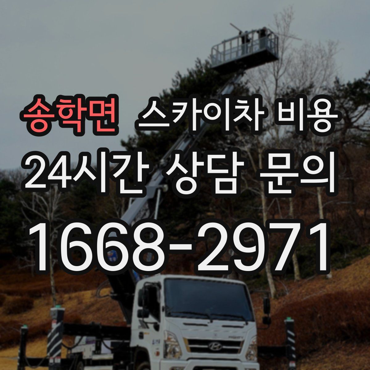 송학면 스카이차 비용