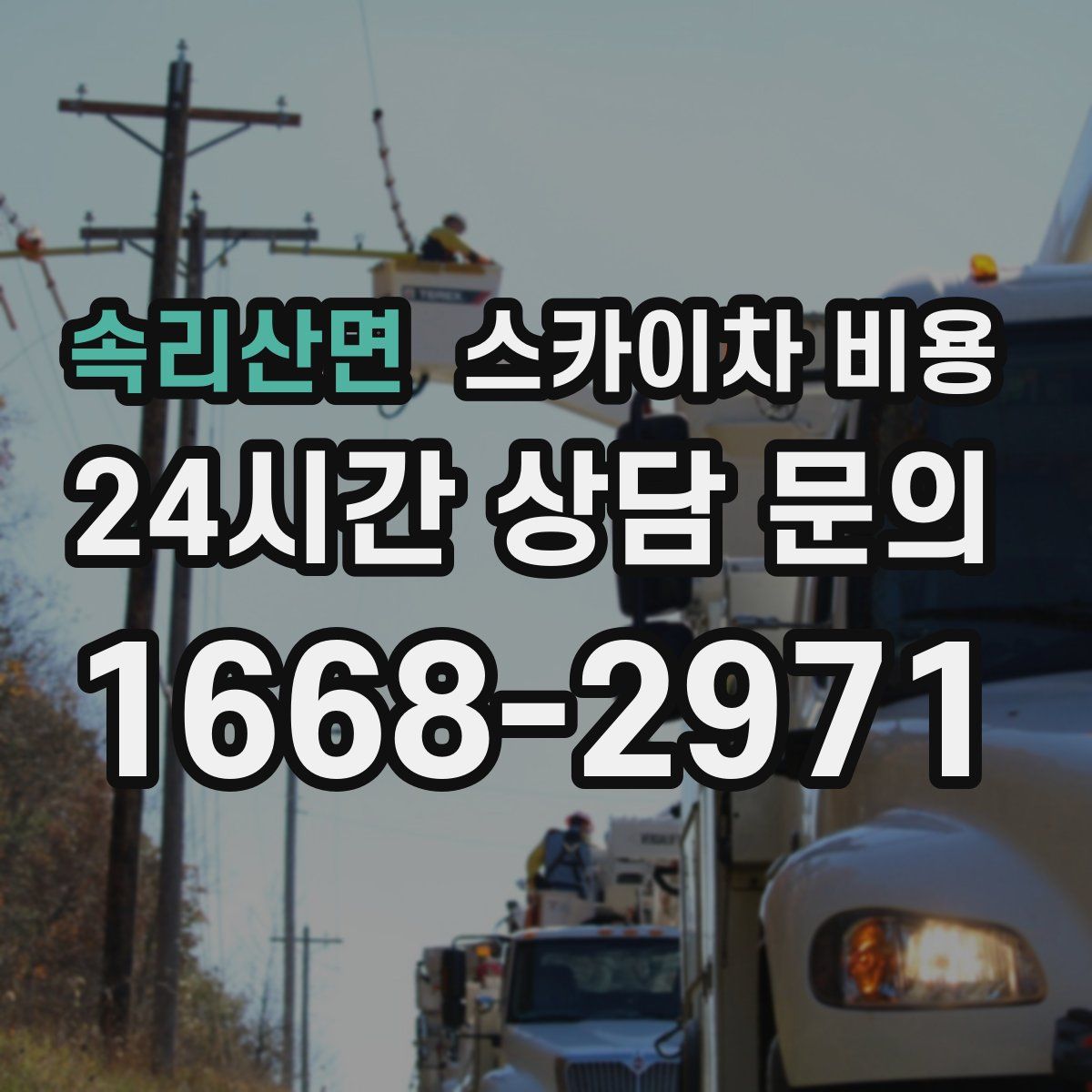 속리산면 스카이차 비용