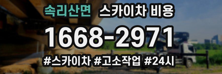 속리산면 스카이차 비용