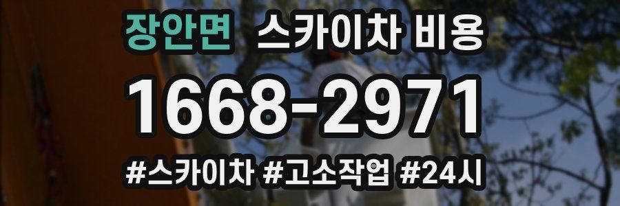 장안면 스카이차 비용