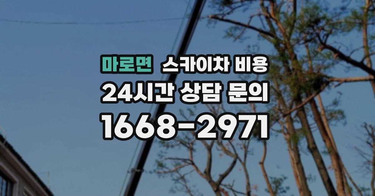 마로면 스카이차 비용