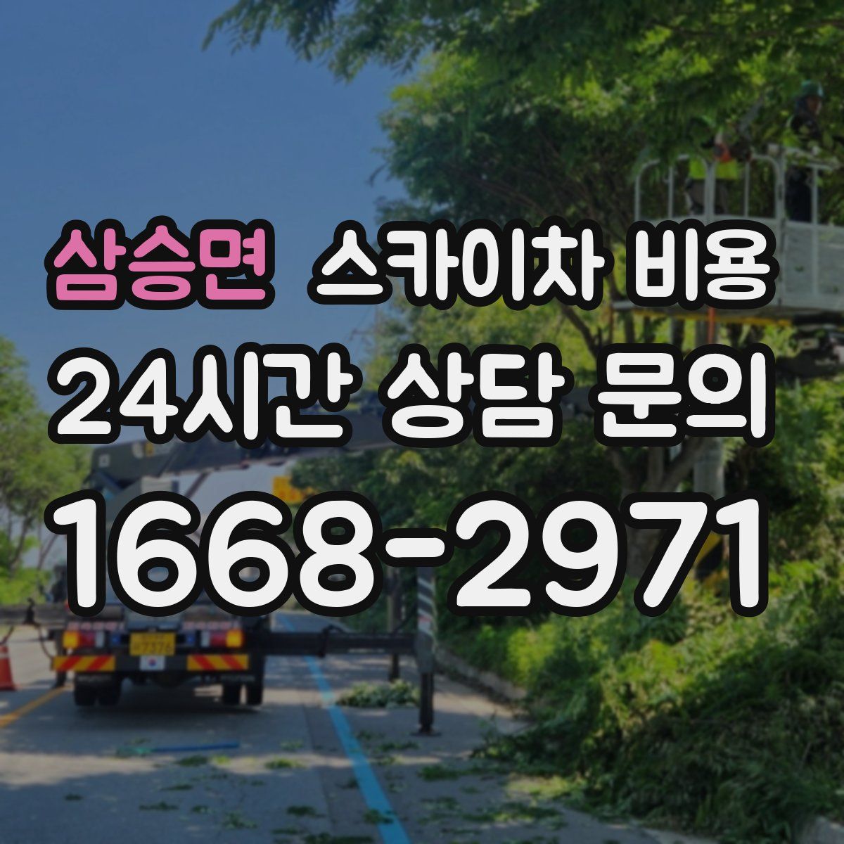 삼승면 스카이차 비용