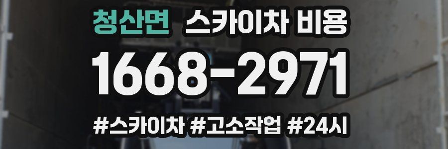 청산면 스카이차 비용