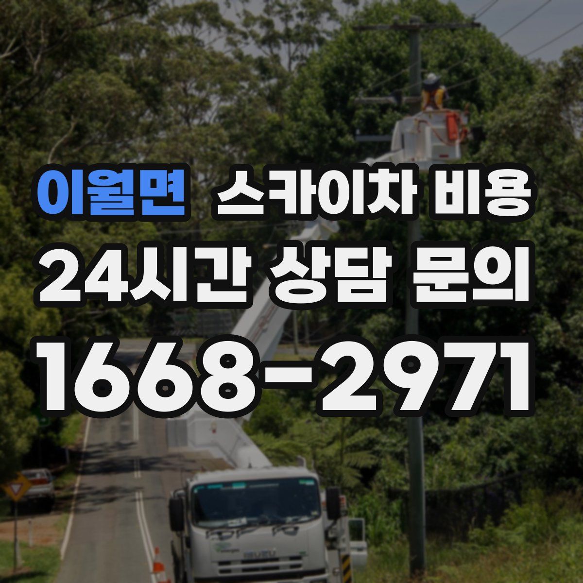 이월면 스카이차 비용