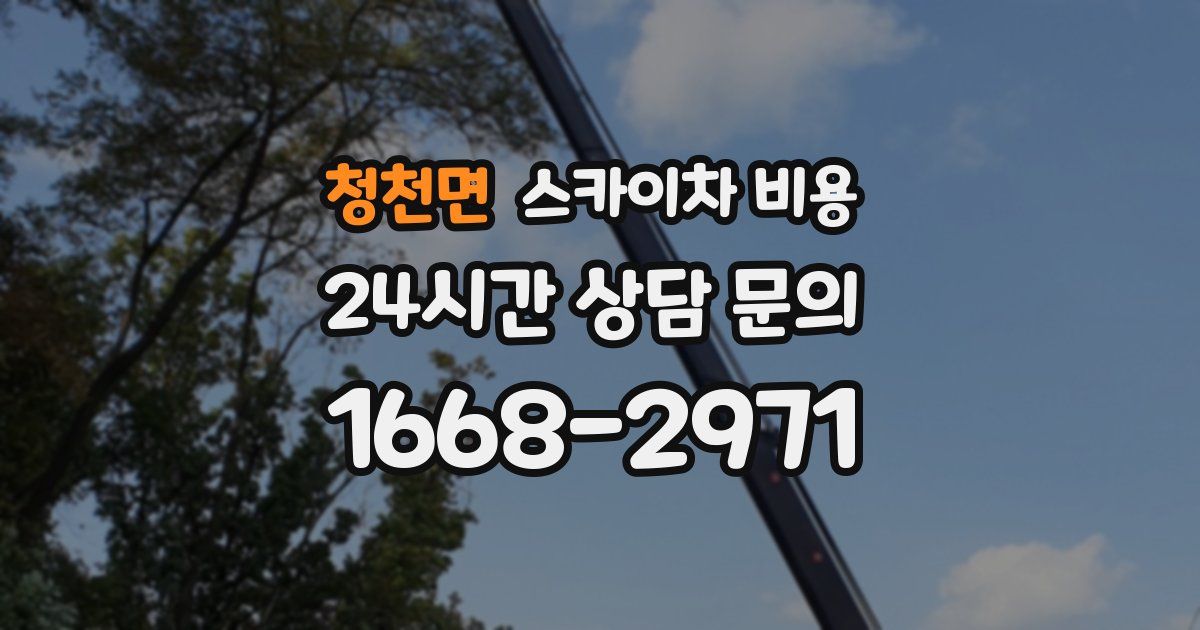 청천면 스카이차 비용