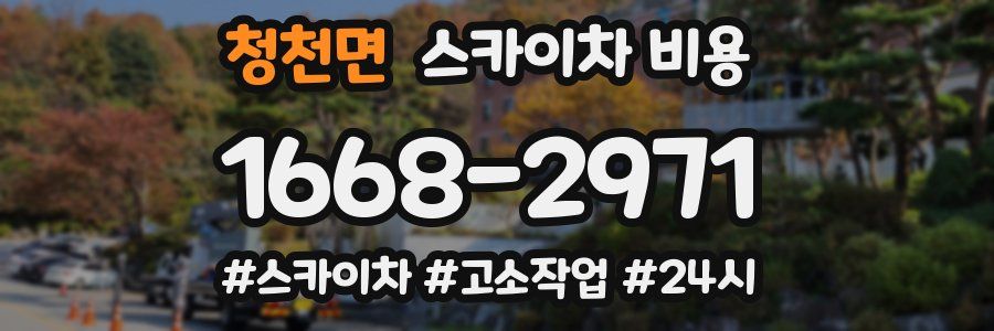 청천면 스카이차 비용