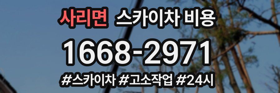 사리면 스카이차 비용