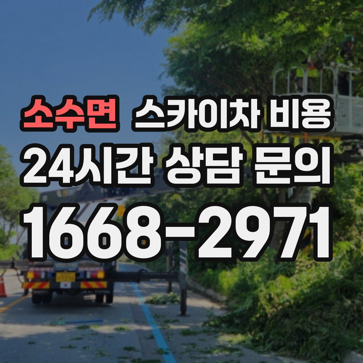 소수면 스카이차 비용